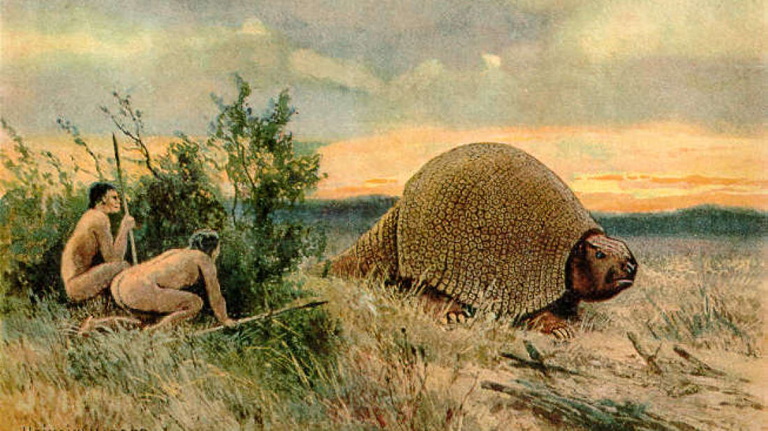 Glyptodon