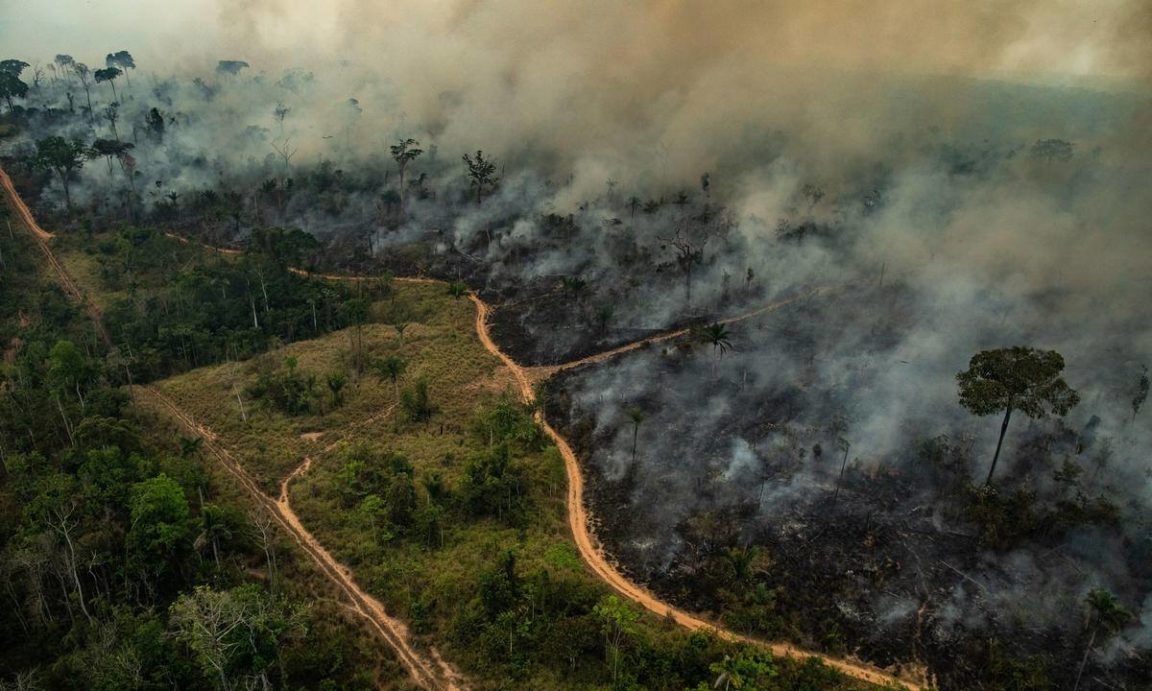 Amazonie feux