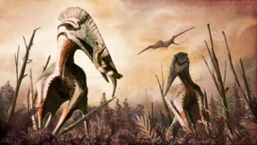 dinosaures