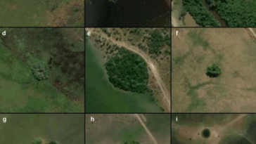 îles artificielles forestières