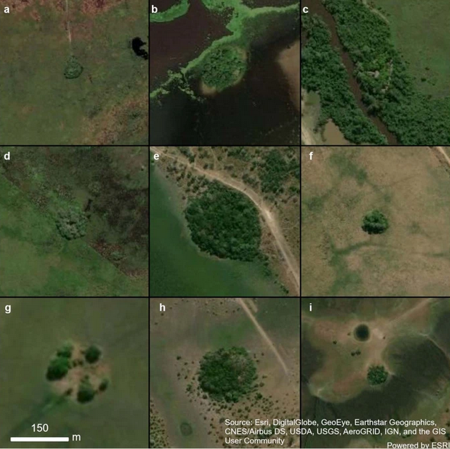 îles artificielles forestières