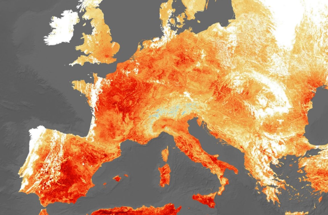 canicule Europe 2019