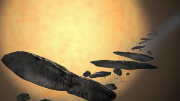 astéroïde Oumuamua