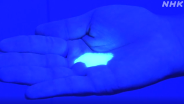 experience Covid 19 repas 1