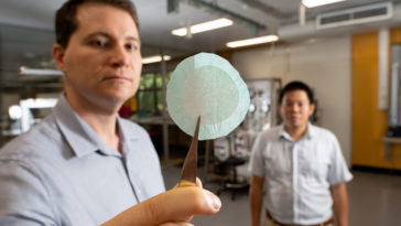 nanocellulose masque