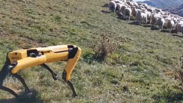 boston dynamics