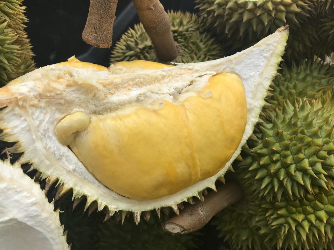 durian fruit puant 2