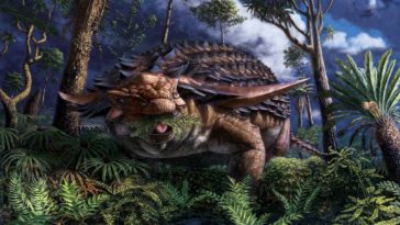 dinosaure Borealopelta markmitchelli