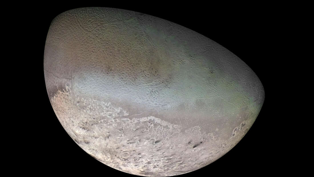 triton