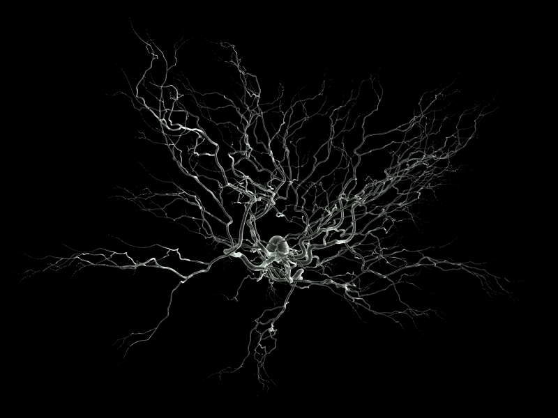 neurones