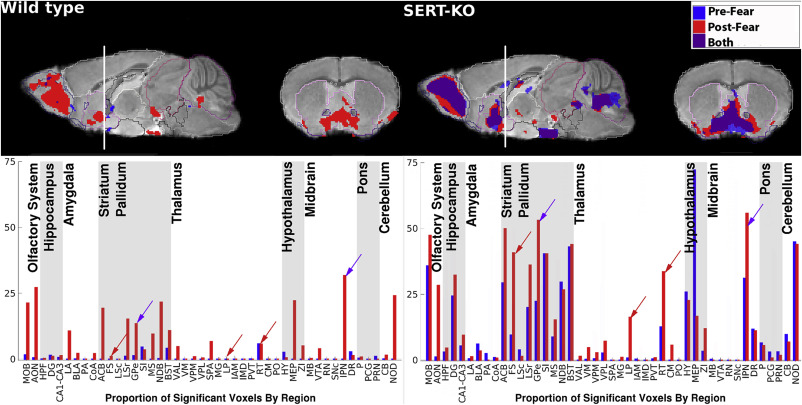 graphique peur souris anxi&eacute;t&eacute;