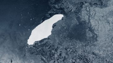 iceberg