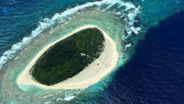 île deserte pikelot