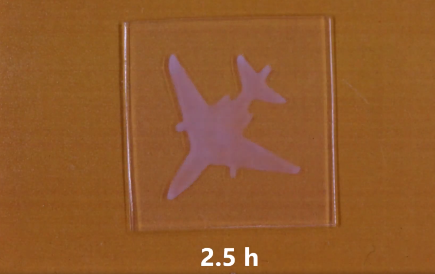 motif avion hydrogel