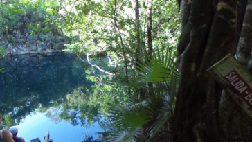 cenote 2