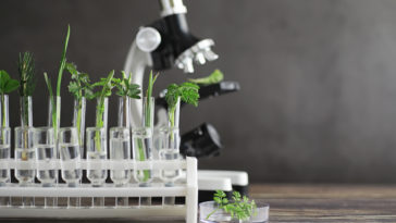 microscope phytothérapie recherche sciences