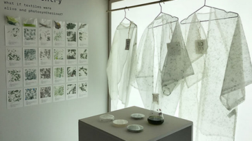 vetement algue tissu 2