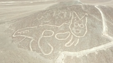 géoglyphe chat nazca