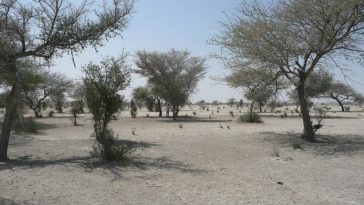 sahel