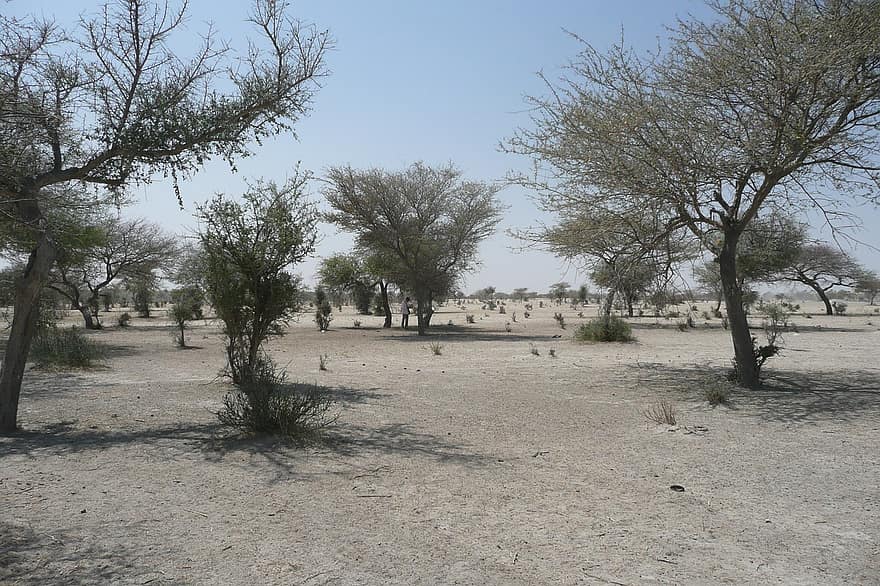 sahel
