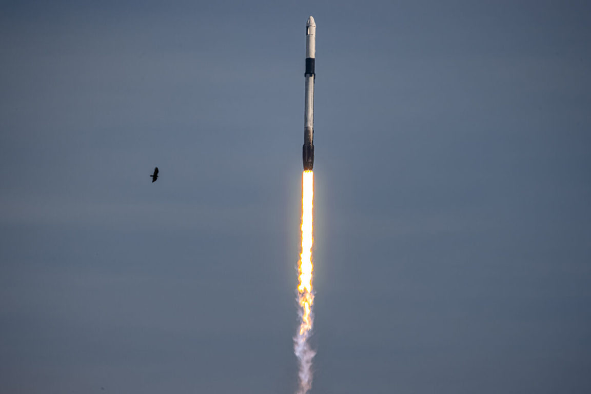 spacex