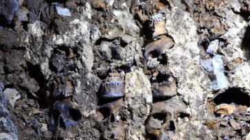 vestige aztèque cranes