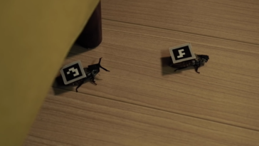 cafards téléguidés