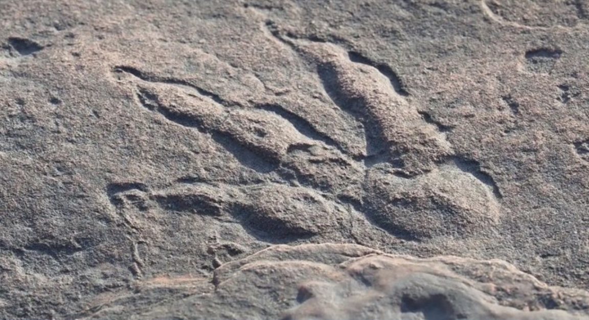 empreinte dinosaures