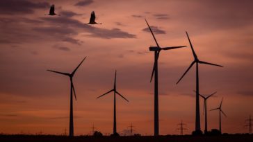 éoliennes oiseaux