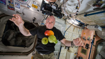 espace coeur scott kelly