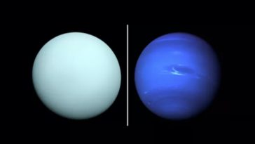uranus neptune