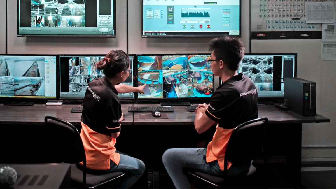 aquaculture Singapour 2