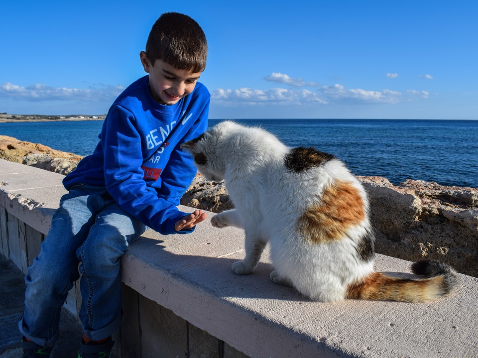 chat enfant