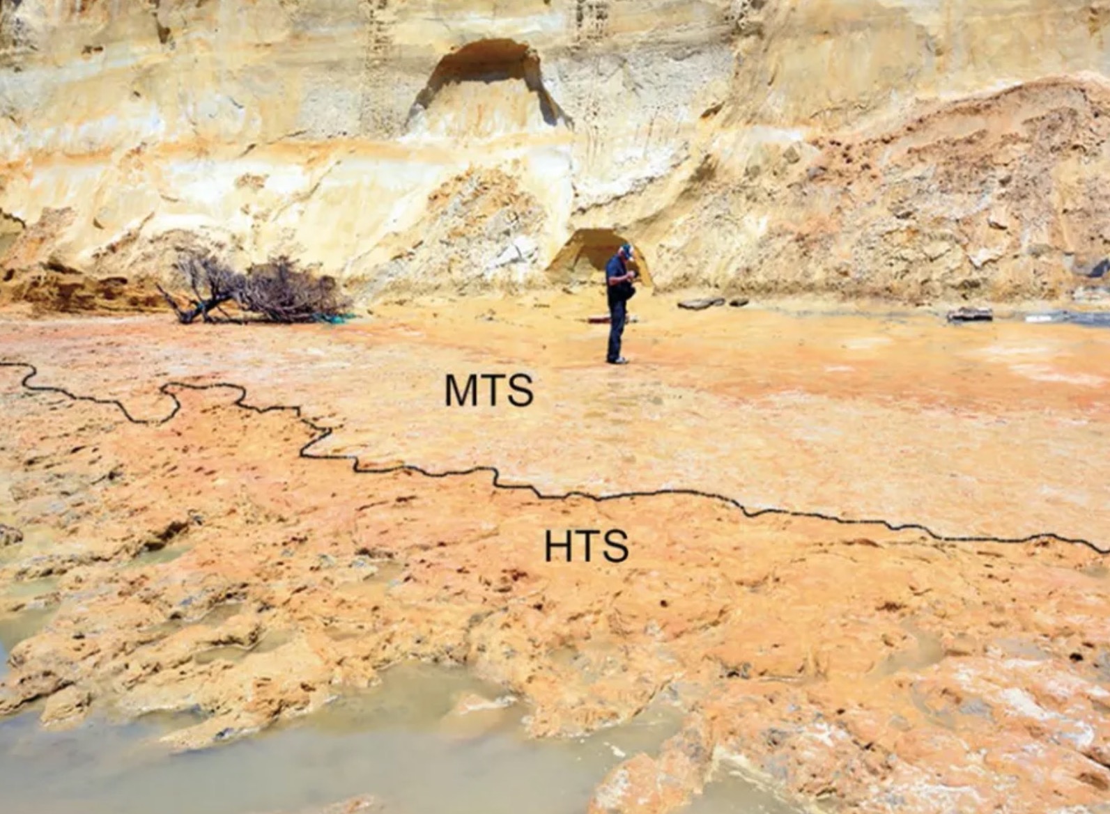 empreintes neandertal Néandertaliens