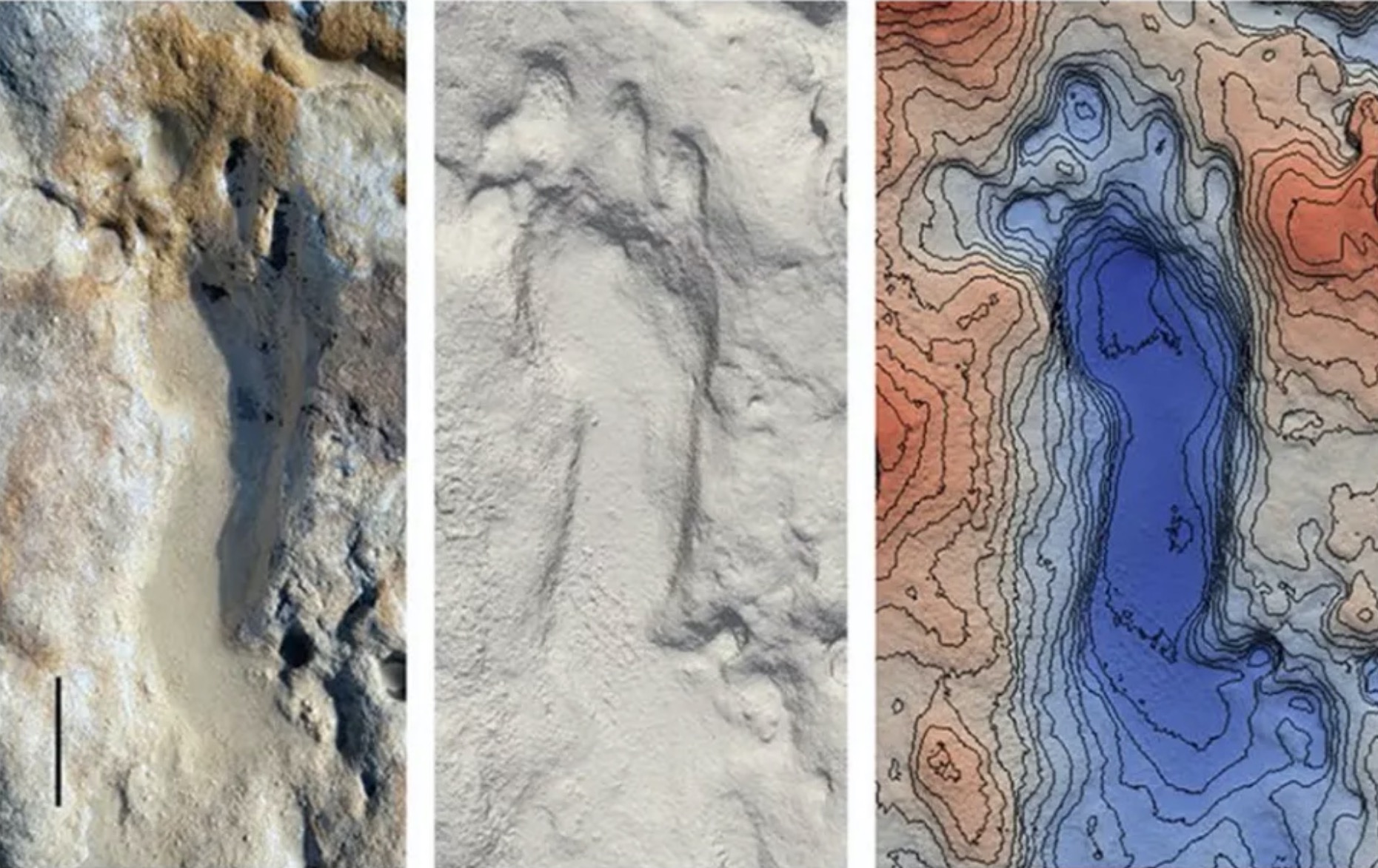 empreintes neandertal Néandertaliens