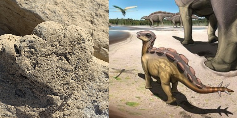 stégosaure dinosaure