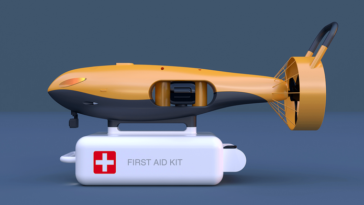 bouée attente baleine 3