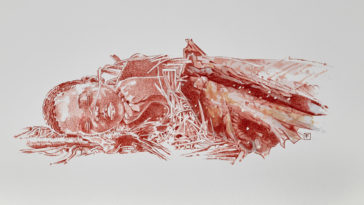 tombe homo sapiens afrique