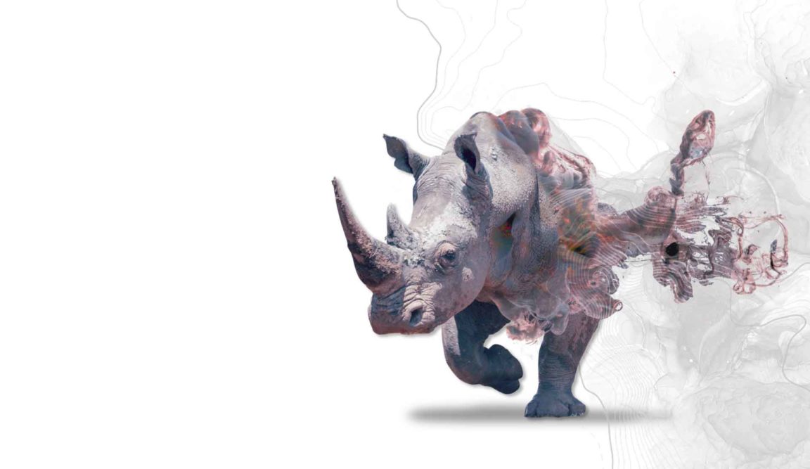 rhinocéros radioactif