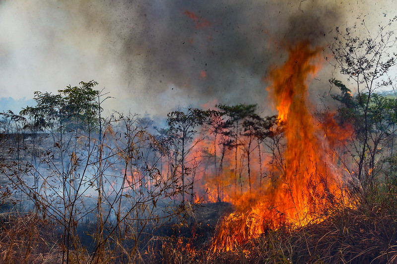 incendie Amazonie 2020