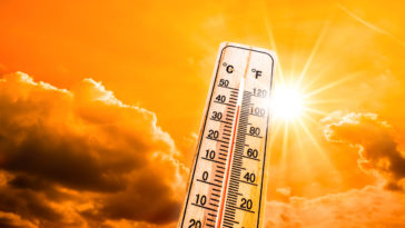 vague de chaleur chaud été canicule