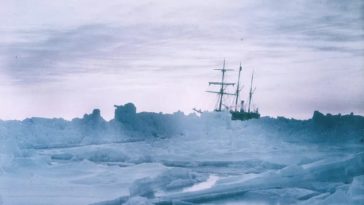 Endurance Shackleton