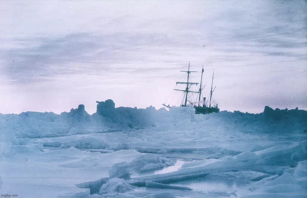 Endurance Shackleton