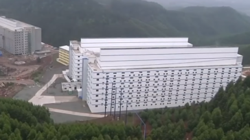 immeubles hotels à cochons