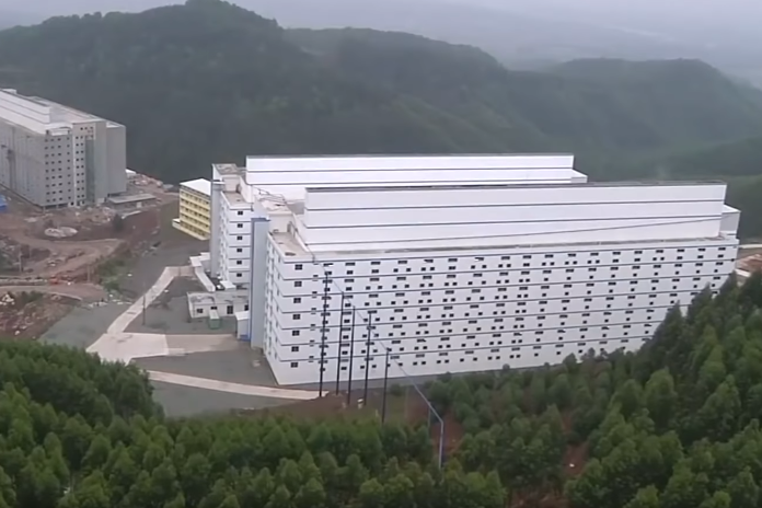 immeubles hotels à cochons