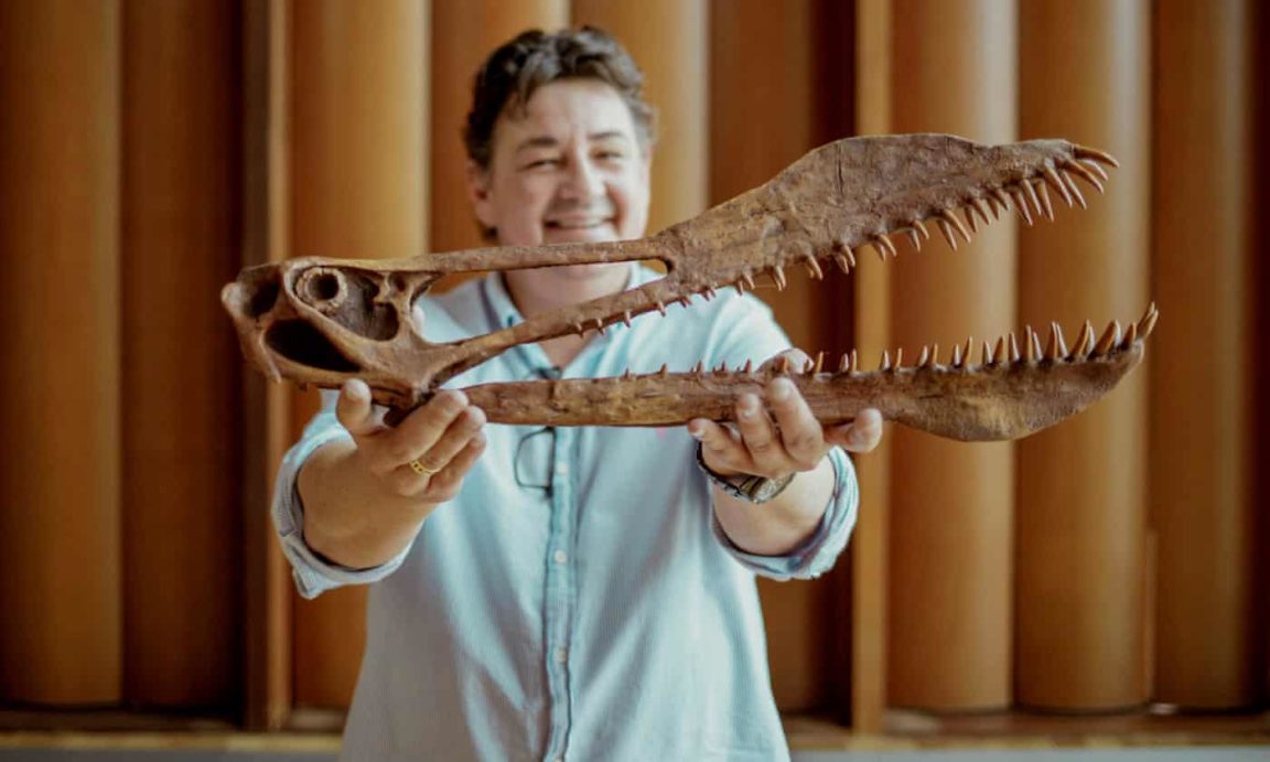 reptile ptérosaure australie