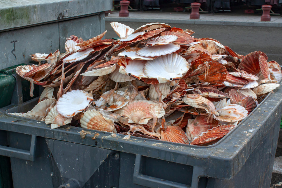 déchets fruits de mer
