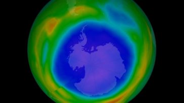 ozone antarctique