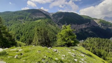 reserve intégral Mercantour