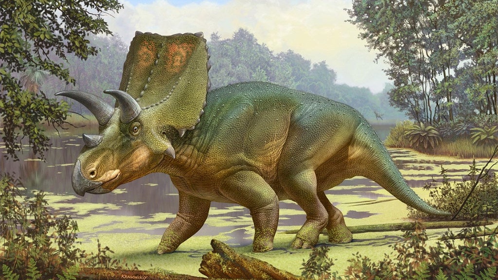 tricératops